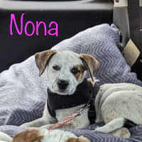Photo of Nona