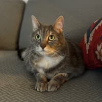 Photo of Alf