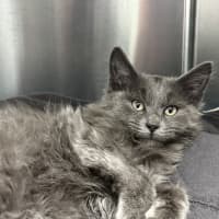 Photo of Bob Barnacles