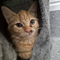 Photo of Captain! 🏴‍☠️ 