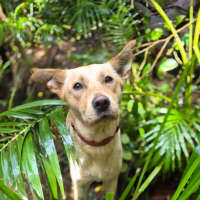 Photo of Marley 