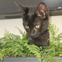 Photo of Milly & Tilly