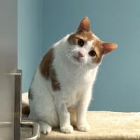 Photo of Lewis Sua013375