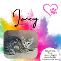 Photo of Lacey