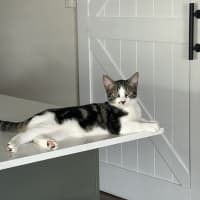 Photo of Jerry Freckle