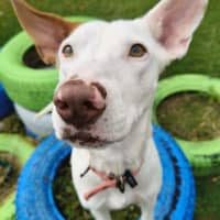 Photo of Twixi