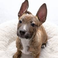 Photo of Ted