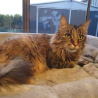 Photo of Nina O’cleary