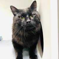 Photo of Clive   In Foster Care In Cheltenham