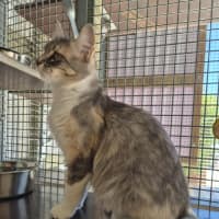 Photo of Spring! 🌷