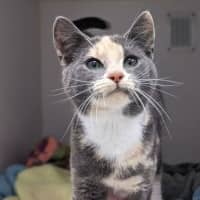Photo of Betty