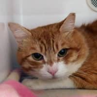 Photo of Marcus Sta014214