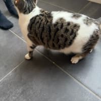 Photo of Betty