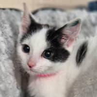 Photo of Maggie