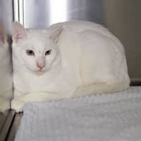 Photo of Cloudy