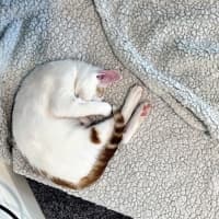 Photo of Neve & Cloud