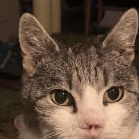 Photo of Cece
