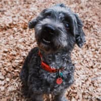 Photo of Oscar And Annika Newhaven