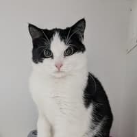 Photo of 🥇 Hulu 6043 🥇