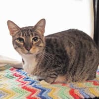 Photo of Pepper