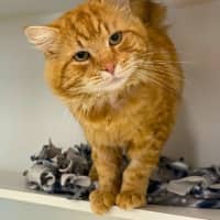 Photo of Gary