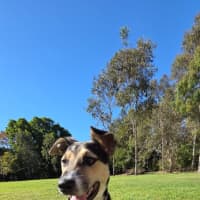 Photo of Zara