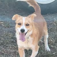 Photo of Alvin