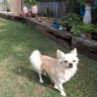 Photo of Reeba And Allan 