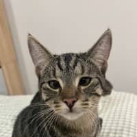 Photo of Reggie