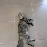 Photo of Queenie♥️