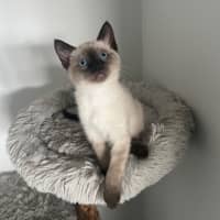 Photo of Nelson 🩵