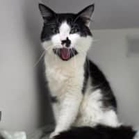 Photo of Snuffles
