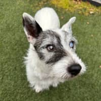 Photo of Walter