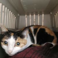 Photo of Sally
