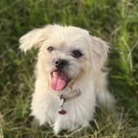 Photo of Emmy