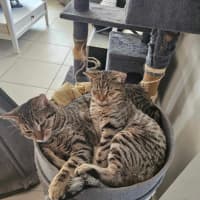 Photo of Mia And Frankie 