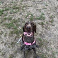 Photo of Nala
