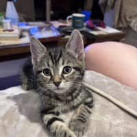 Photo of George   Reviewing Applications