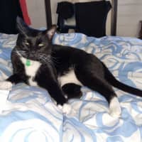 Photo of Queenie