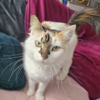 Photo of Evie & Charlotte 