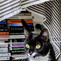 Photo of Stevie Mitts