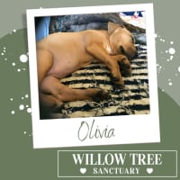Photo of Olivia