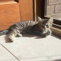 Photo of Marie 