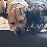 Photo of Daisy Haliwell