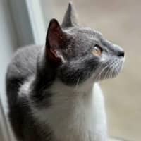 Photo of Harriet