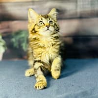 Photo of Sky   Located In Wallan