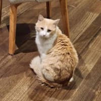 Photo of Churro
