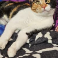 Photo of Cassie