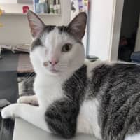 Photo of Bibi