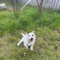 Photo of Russell Russelton